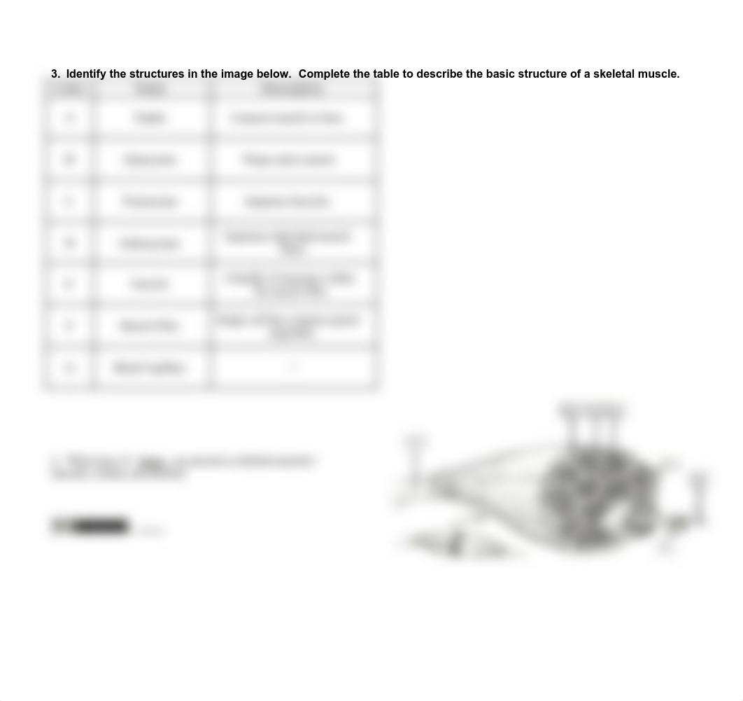 UTF-8''Muscular%20System%20Concept%20Check.pdf_dnt8s3l1kim_page3