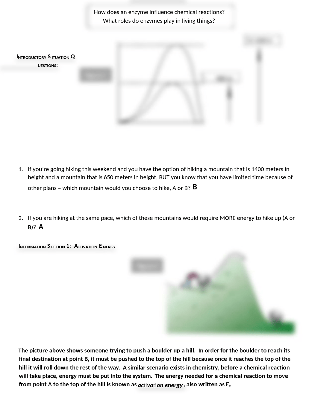 Enzyme and Energy POGIL.docx_dntacihg5id_page1