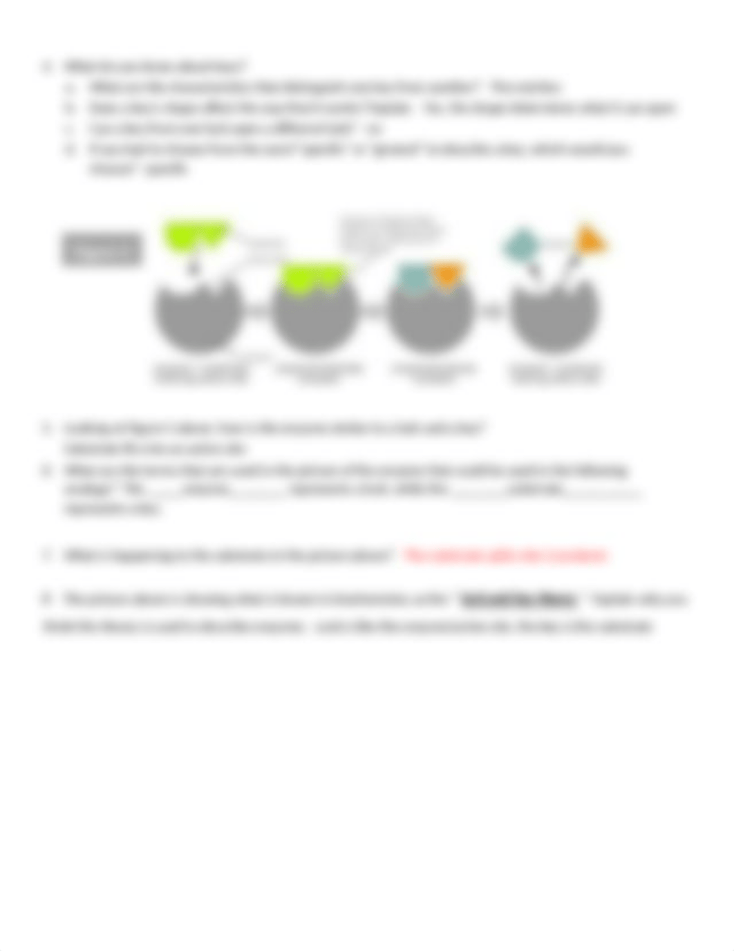 Enzyme and Energy POGIL.docx_dntacihg5id_page3