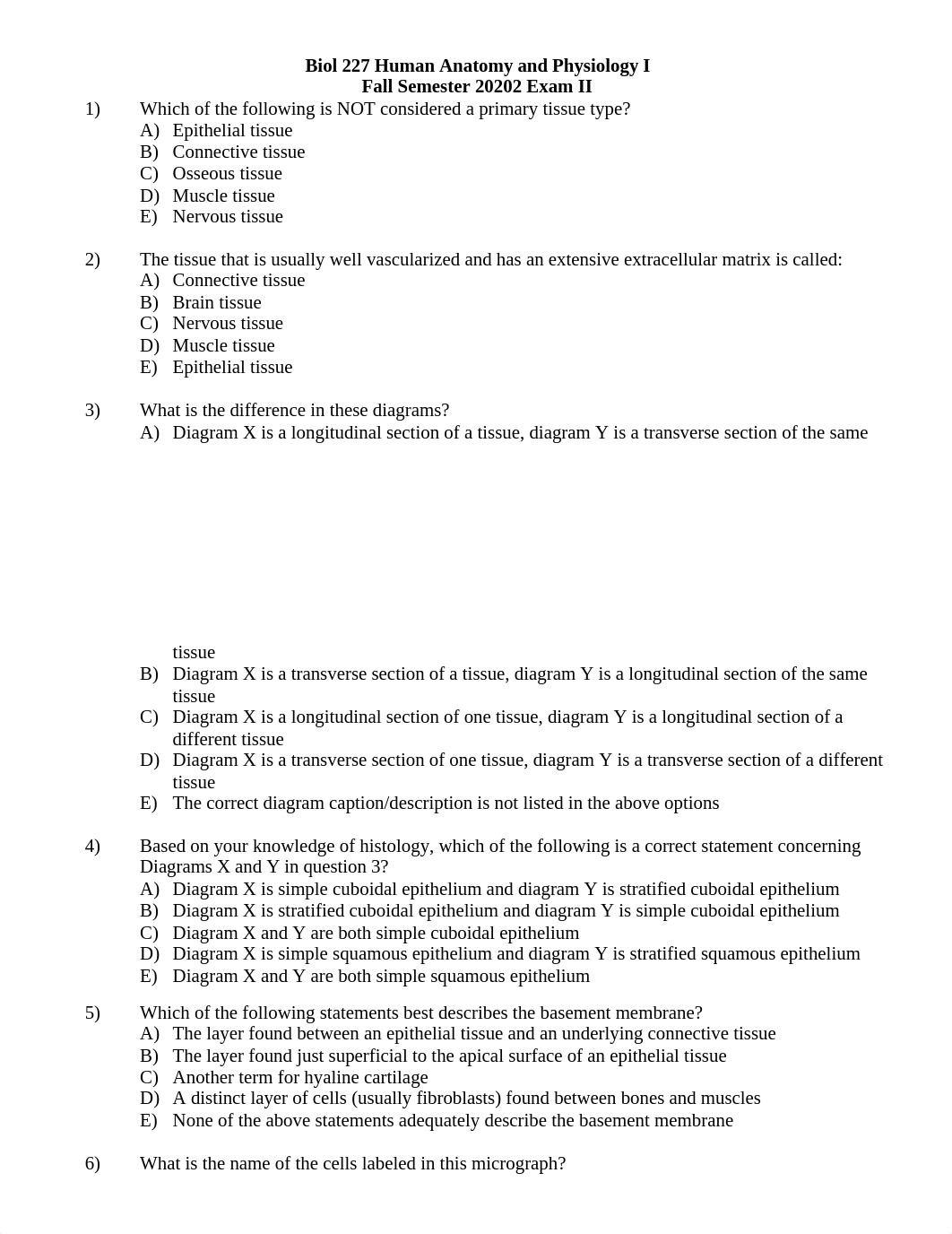 Fall 2020 Exam II.docx_dntaem3wx13_page2