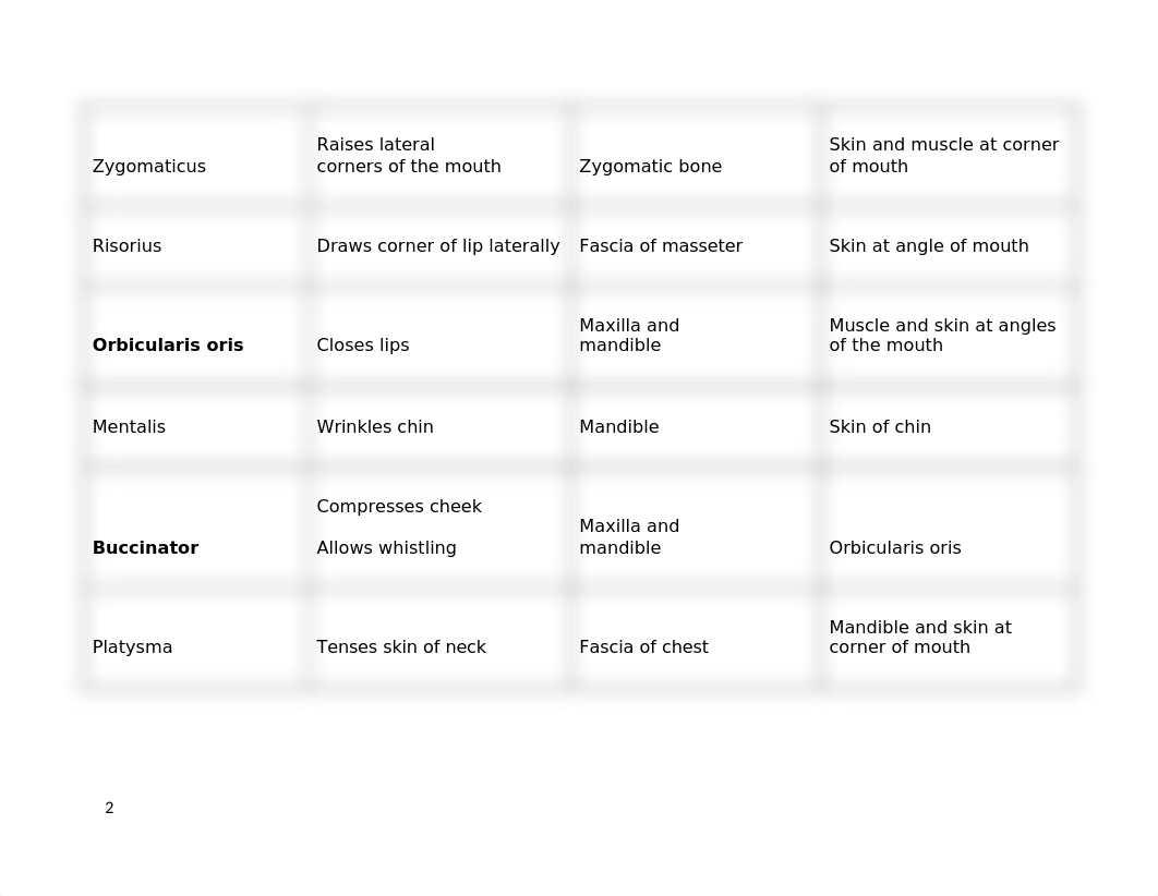 Muscles Chart .docx_dntb83kub14_page2