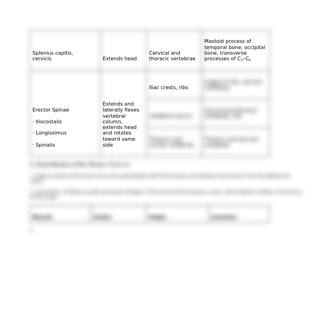 Muscles Chart .docx_dntb83kub14_page5