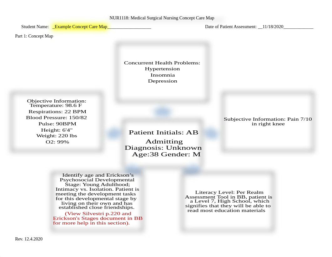 Example Concept Care Map 12.4.2020 (1).docx_dntbu1alcvr_page1