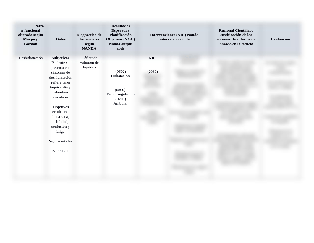 Nurs 2625 Plan de cuidado II  Placenta Previa  Deshidratacion.docx_dnti6p8ysov_page2