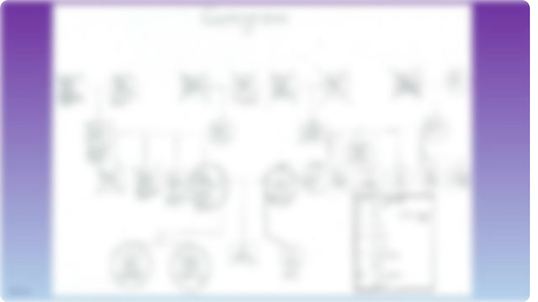 Genogram Slides_dntpj3tp4ql_page3