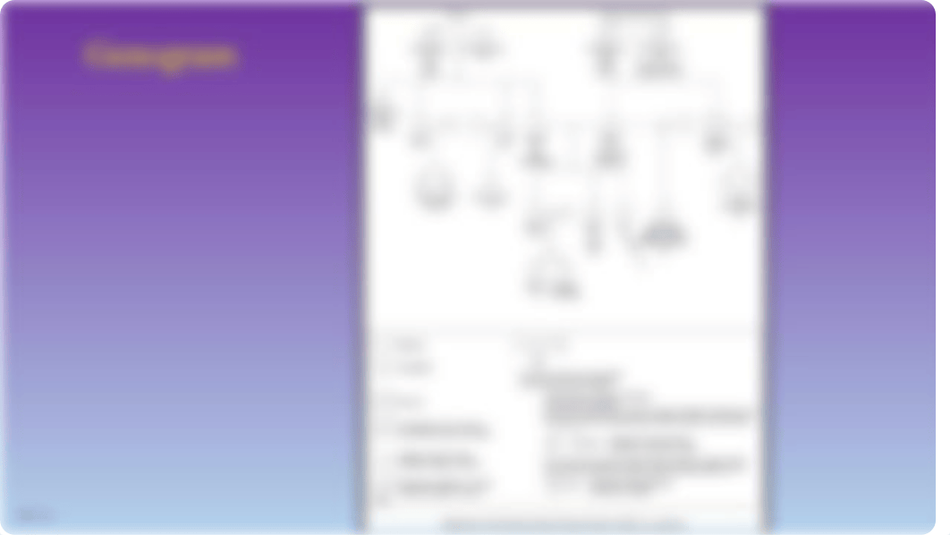 Genogram Slides_dntpj3tp4ql_page2