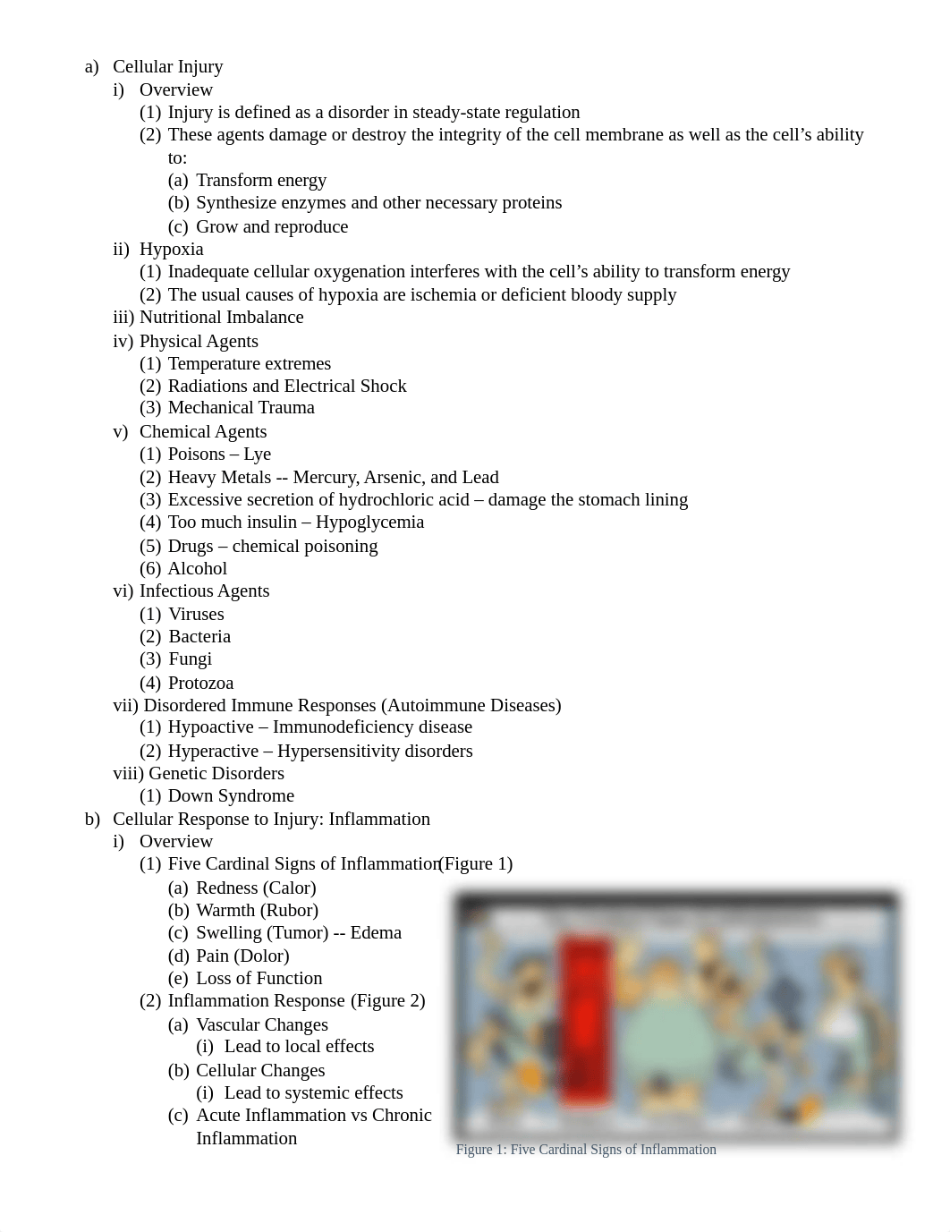 Inflammation- Appendicitis & Anesthesia Outline.docx_dntr5vxh79v_page1