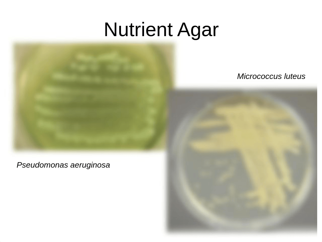 LAB.ppt_dntw92t2t8a_page1