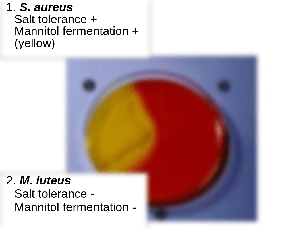 LAB.ppt_dntw92t2t8a_page3