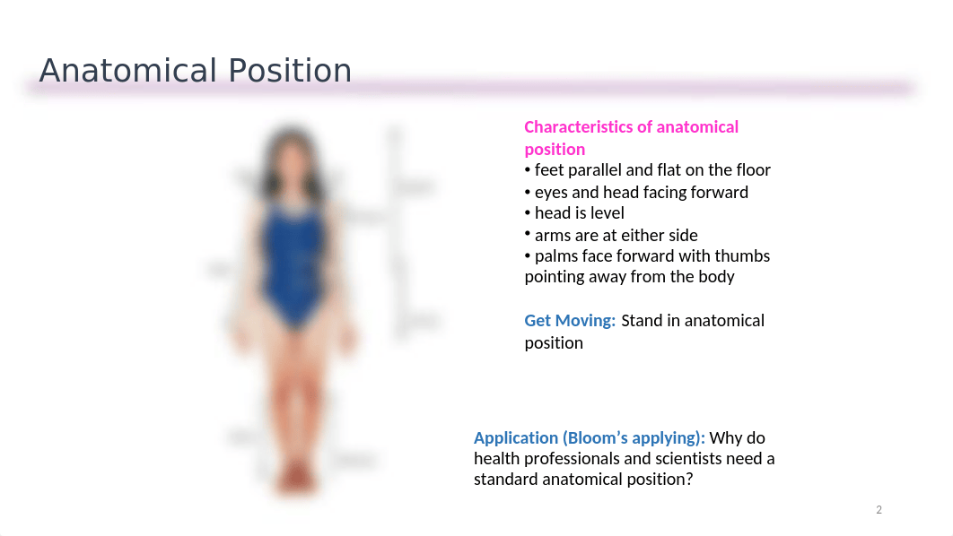 Chapter 1 Section 3 - Anatomical Regions, terms and planes of dissection.pptx_dntwsh9aend_page2