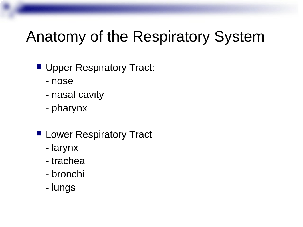 Respiratory Physiology.ppt_dntybw6lrq0_page4