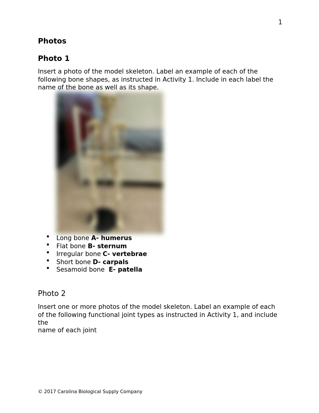 SKELETON LAB.docx_dnu3yidjaui_page3