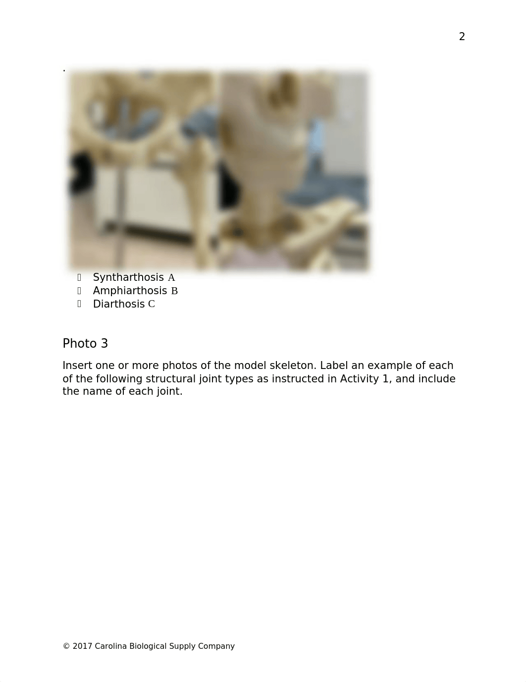 SKELETON LAB.docx_dnu3yidjaui_page4