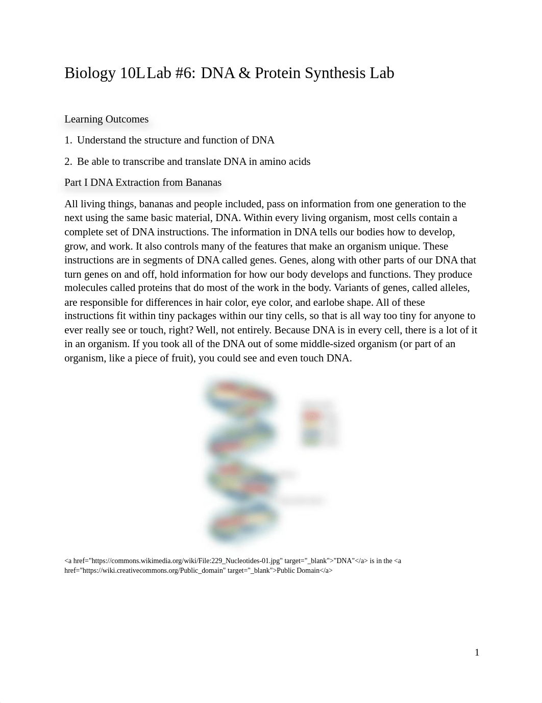 6. DNA & Protein Synthesis Lab.docx_dnu96gauesb_page1