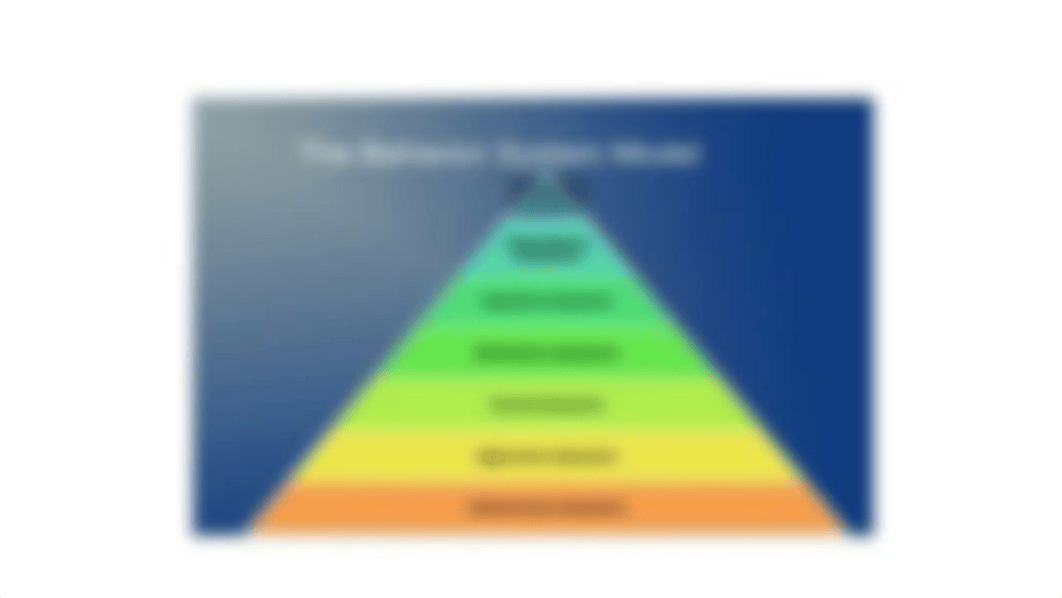 Behavioral System Model Dorothy Johnson revised.pptx_dnu9aa8jrfk_page4