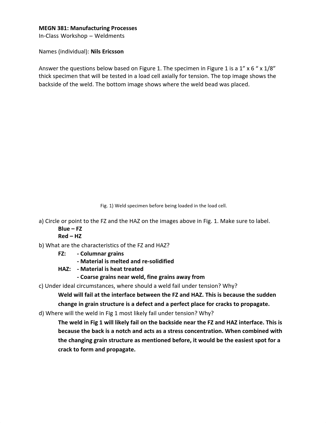 MEGN381_WS10.pdf_dnuebu4d87l_page1