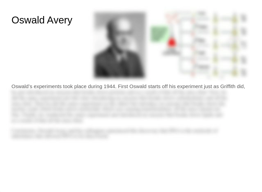 DNA Timeline.pptx_dnulwqvdapb_page4