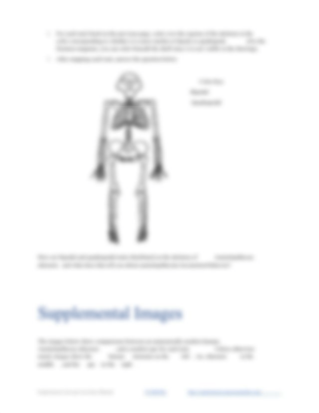 Lab 7- Australopithecine Locomotion - worksheet.docx_dnuncx3nbsc_page2