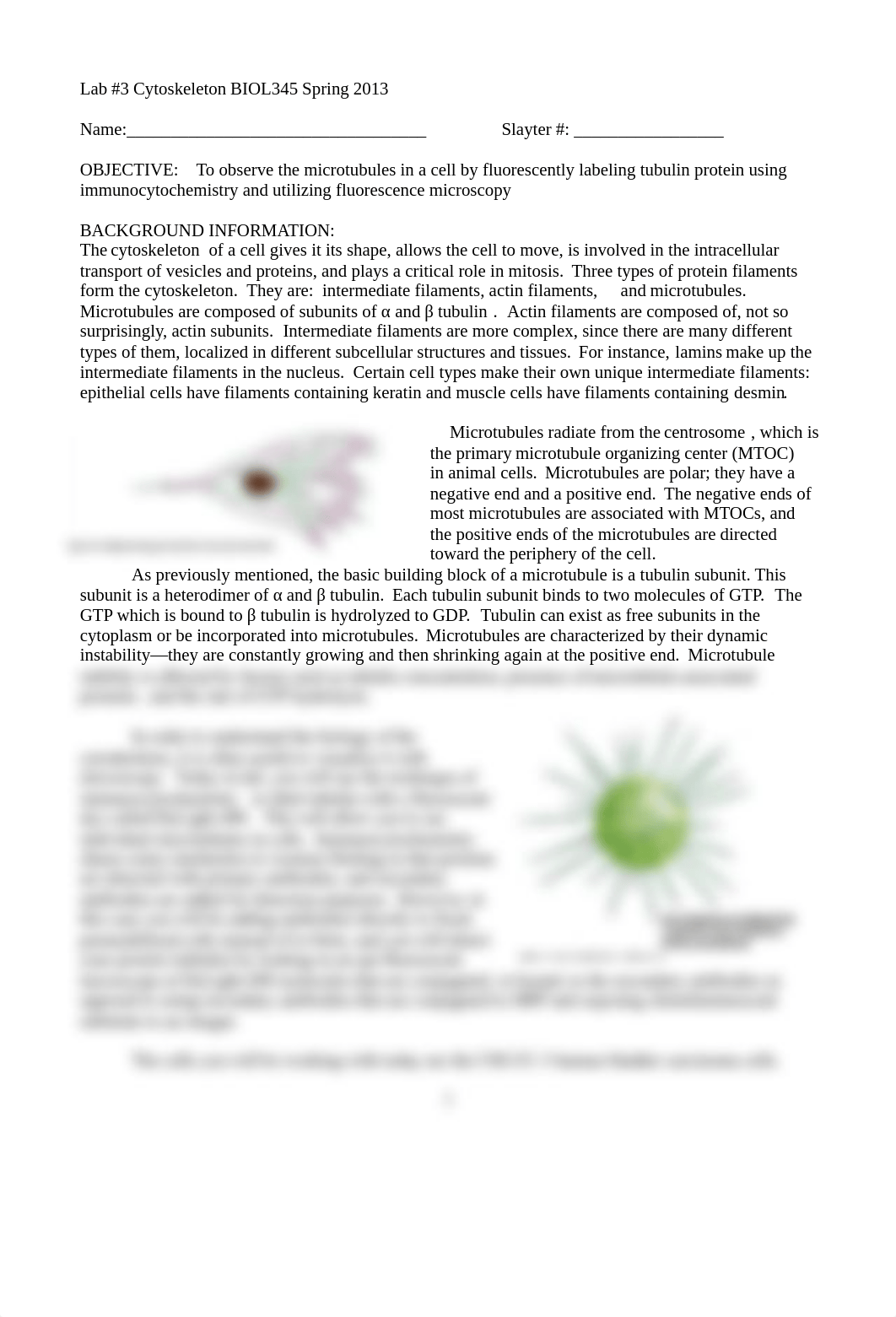 Lab 3 Cytoskeleton_dnv16r98ke5_page1