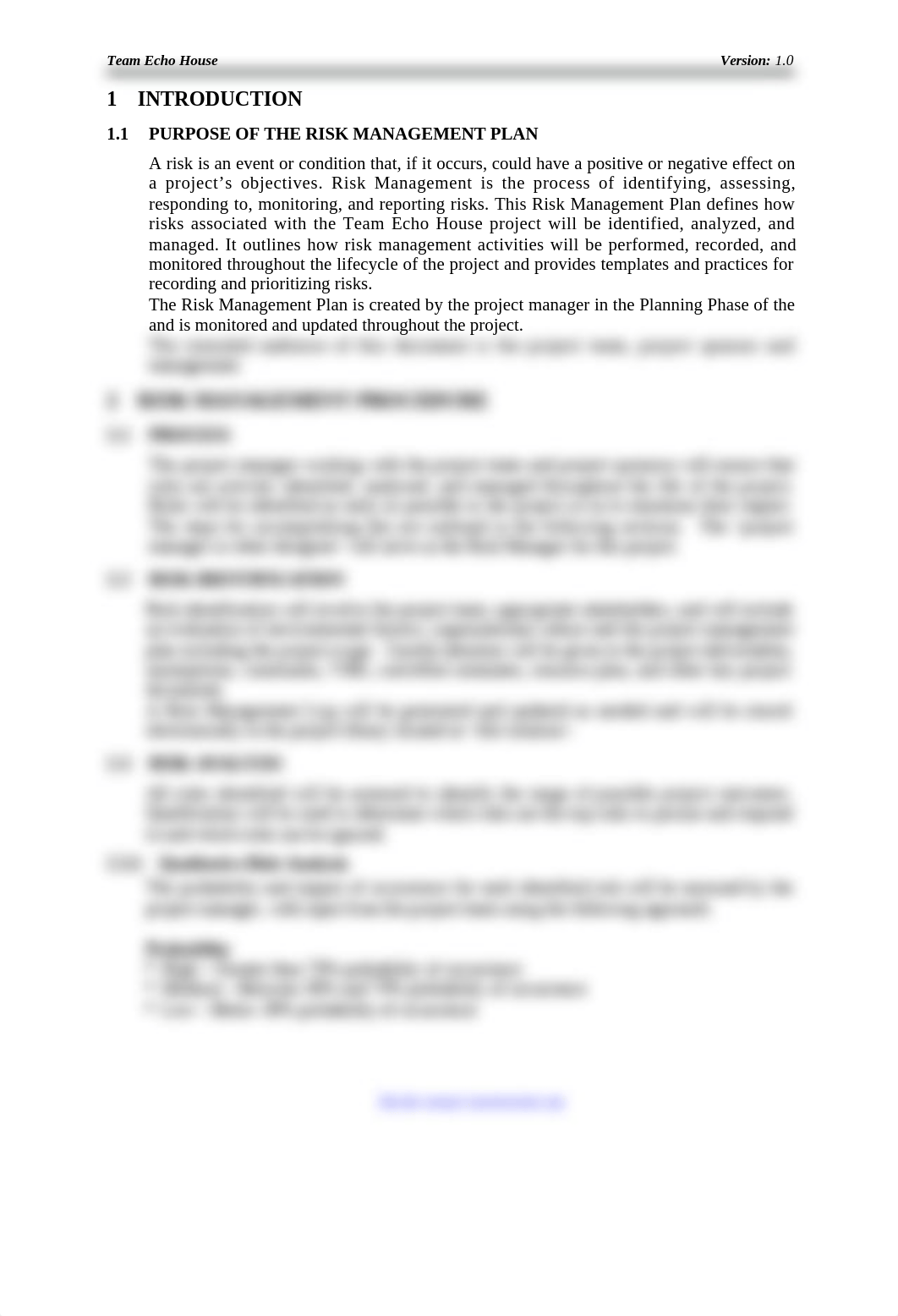Team_Echo_Risk_Management_Plan.docx_dnv29r5thqb_page4