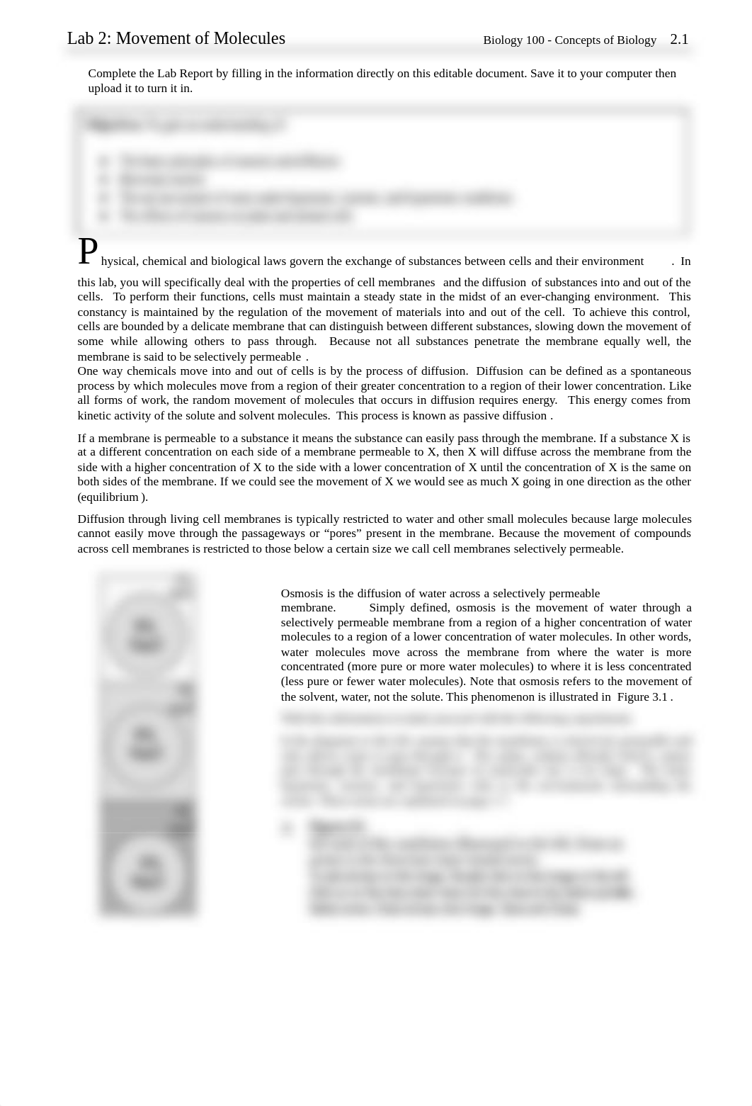 Ibarra Lab 2_ Movement of Molecules.pdf_dnv6tamoqtd_page1