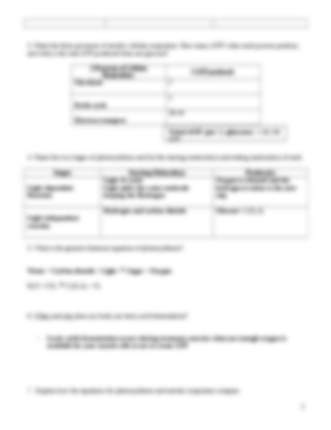 Copy of Copy of Photosynthesis and Cell Resp Review_study sheet .doc_dnvnfp4rop5_page2