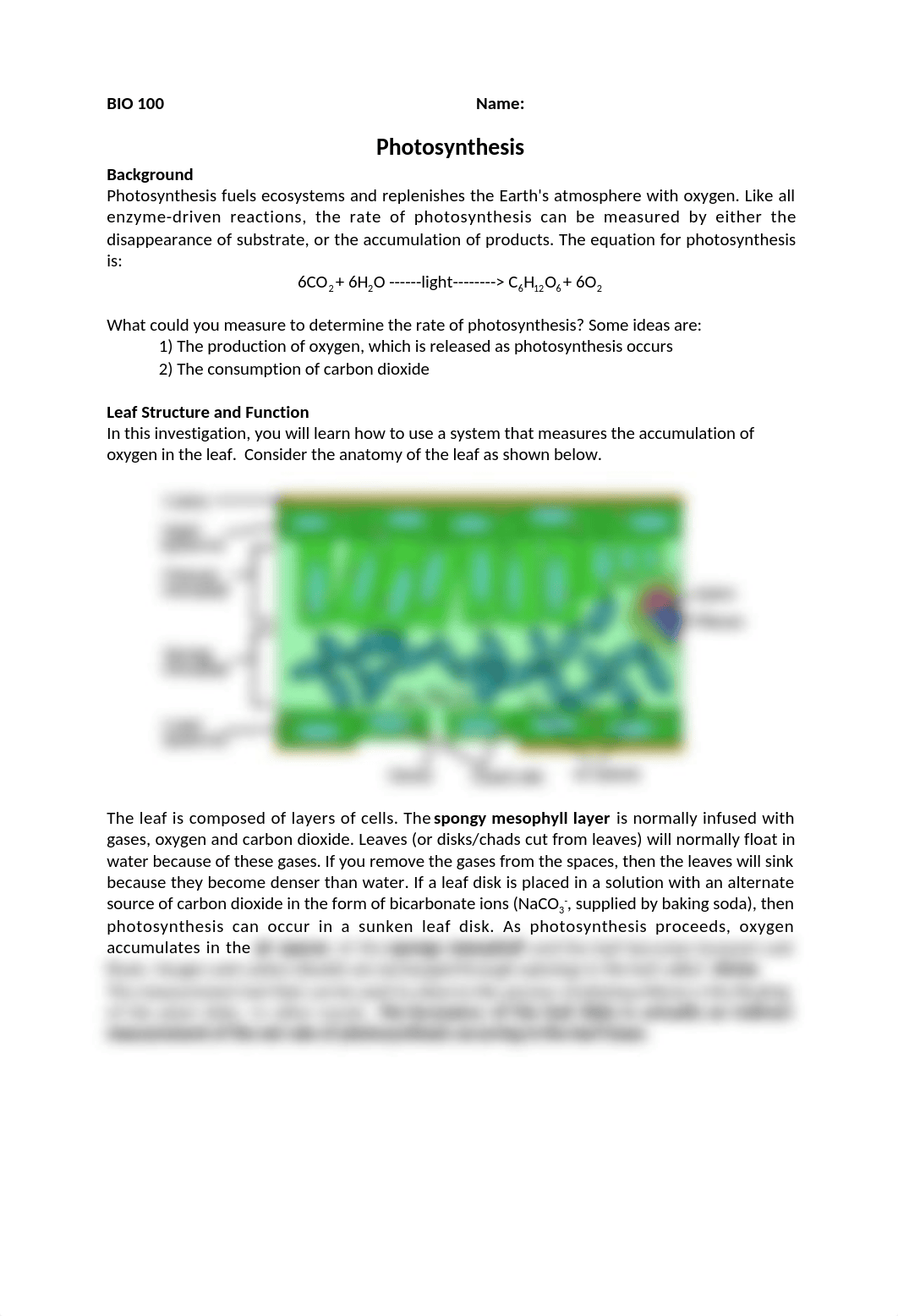 Lab 10 - Photosynthesis - Online.docx_dnvu3dgerrm_page1