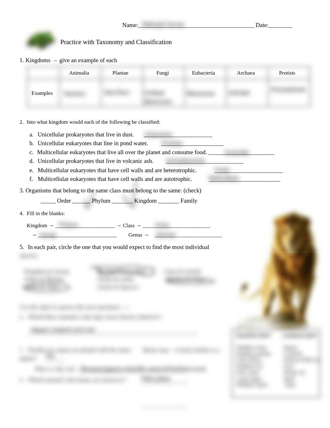 Kami Export - Practice with Taxonomy and Classification.pdf_dnvubns9woc_page1