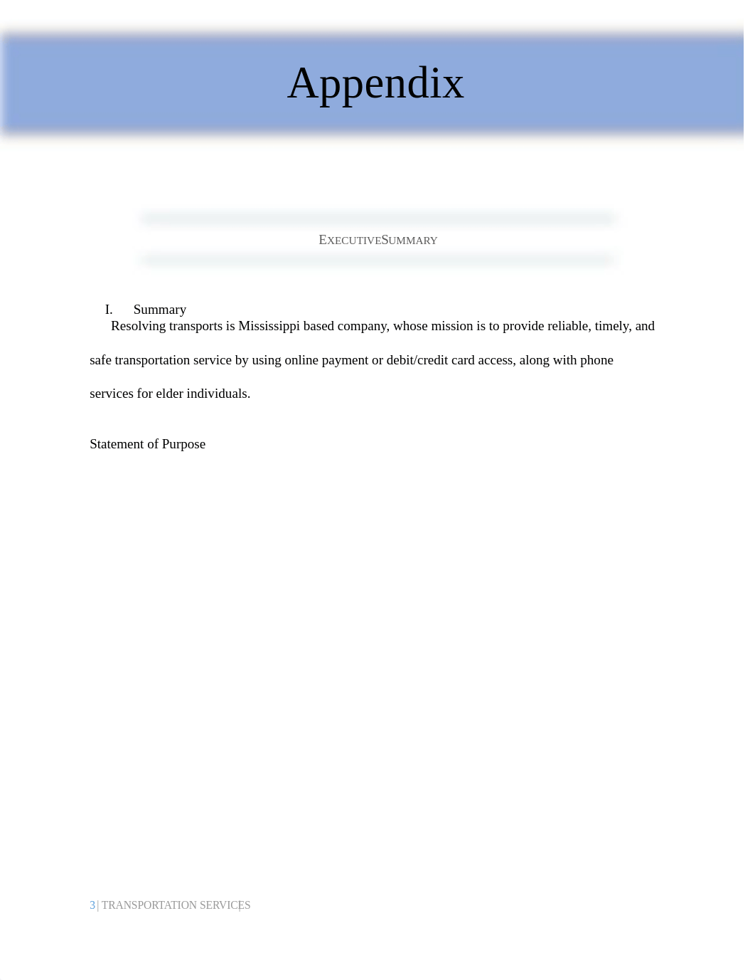 Transportation Services Business Plan bb.docx_dnvwqx9eakp_page3