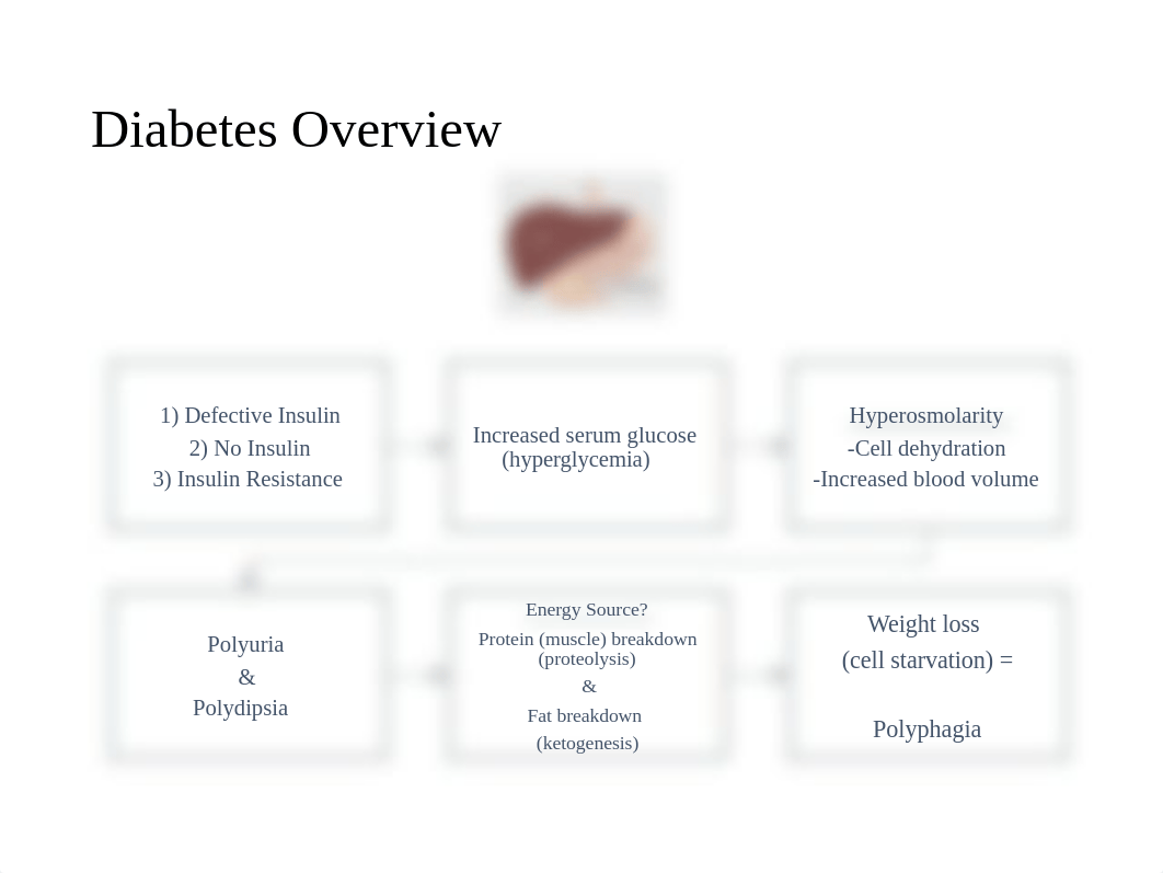 Diabetes Mellitus.pptx_dnw18k4ssw7_page4