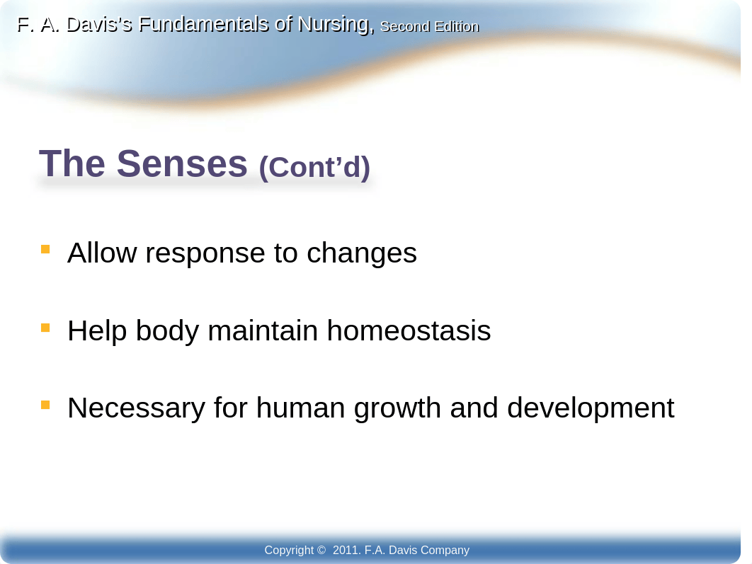 FAD Ch29 Sensory Perception.  Student-2.ppt_dnw1n96551m_page4