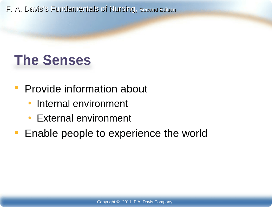 FAD Ch29 Sensory Perception.  Student-2.ppt_dnw1n96551m_page3