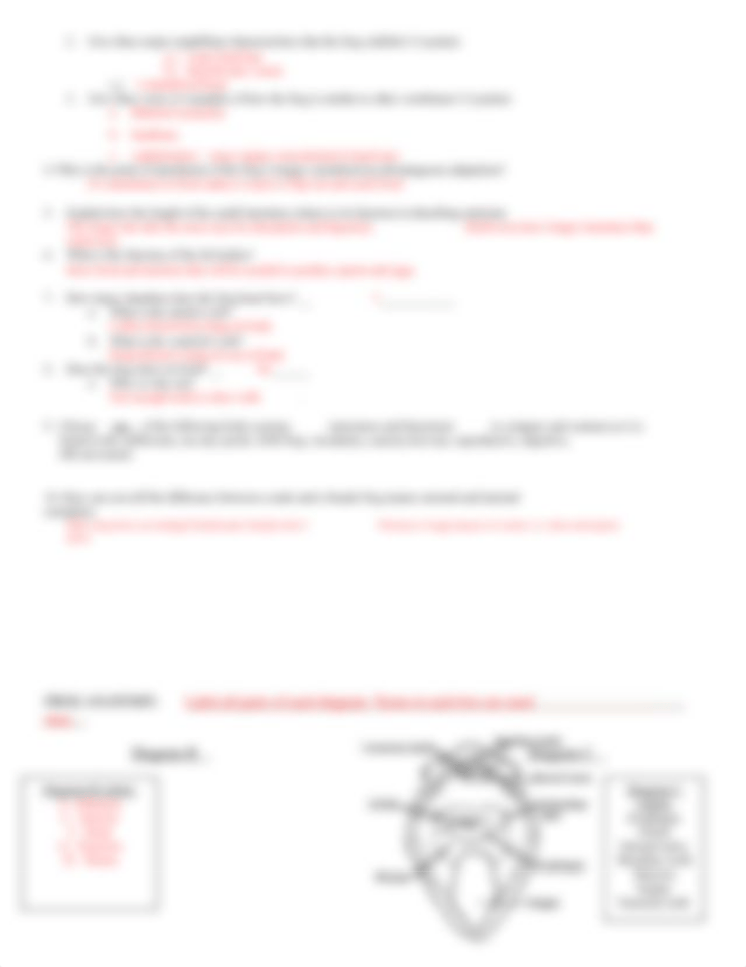 Frog Dissection worksheet with answers (2)_dnw4nzjlz8p_page2