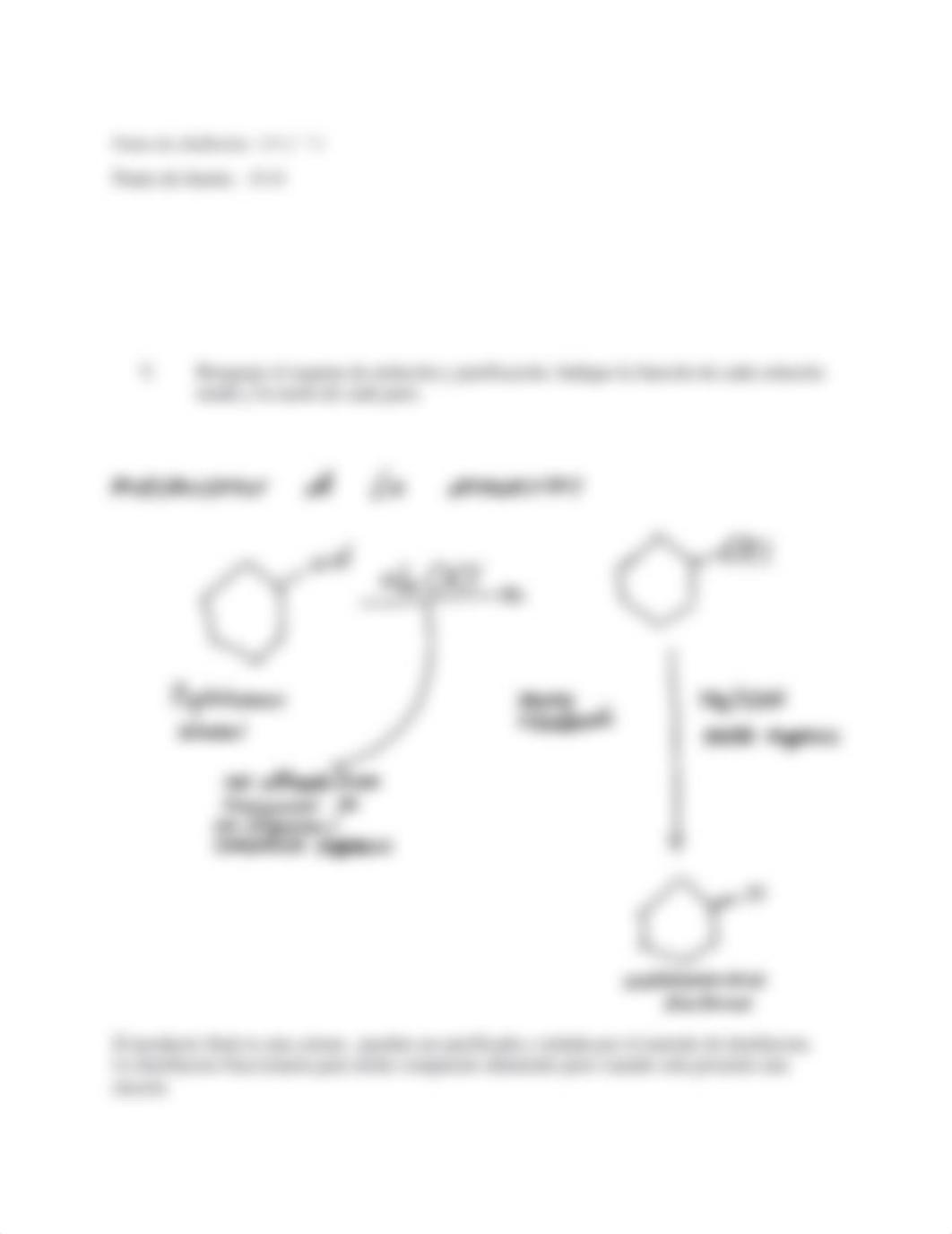 Informe de ciclohexanol (1) (1).docx_dnw9hmt982k_page3