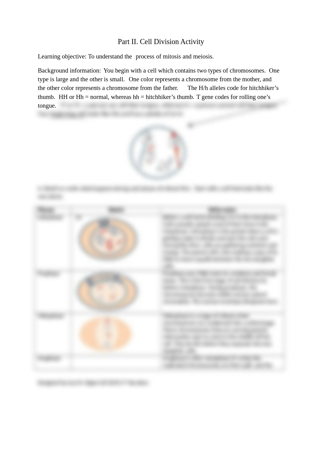 Part I Cell Division Activity 3rd iteration(1).docx_dnwhhciob3k_page2