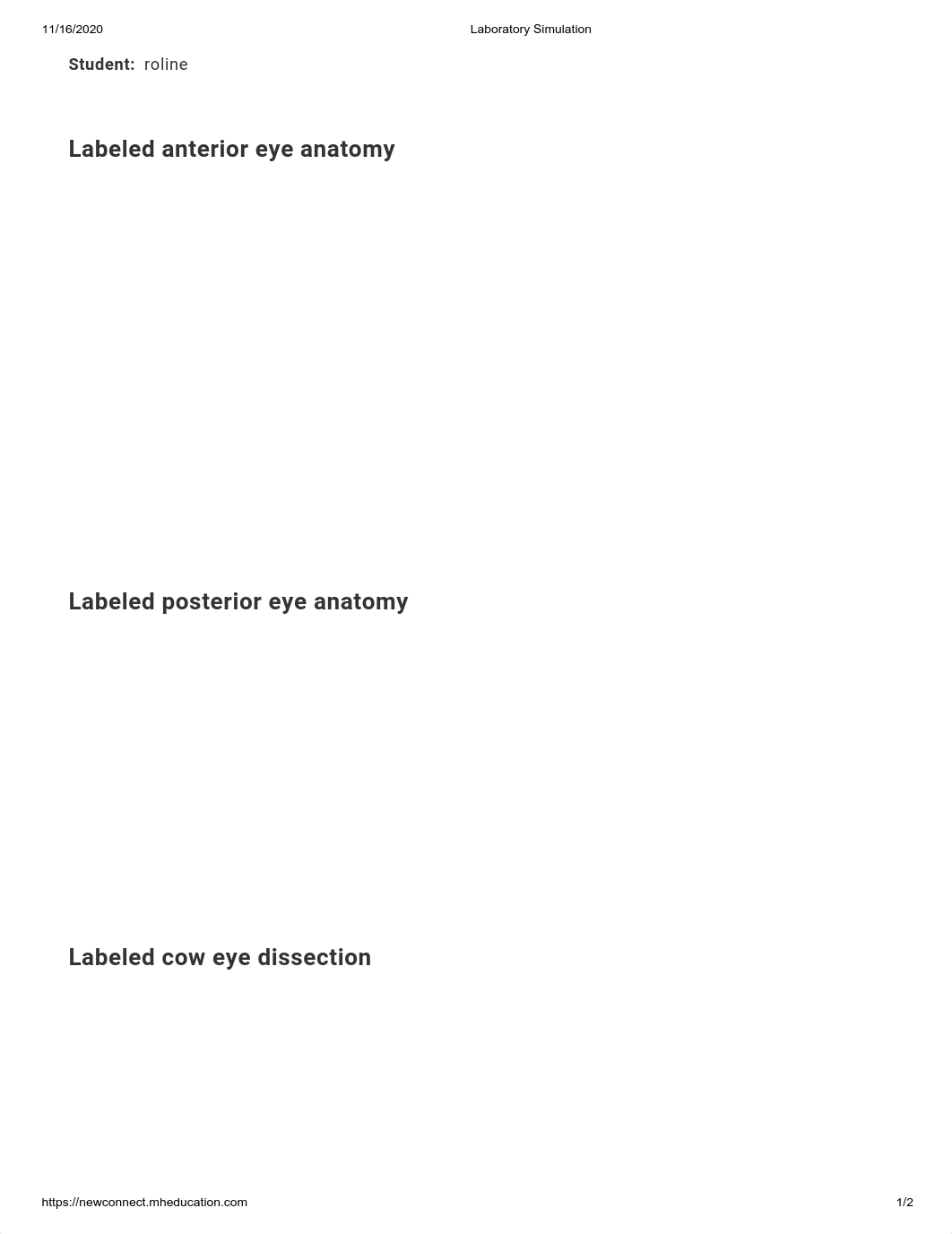 BIO 112-01A WEEK 4 (6) Eye Dissection.pdf_dnx0g8r0dnb_page1