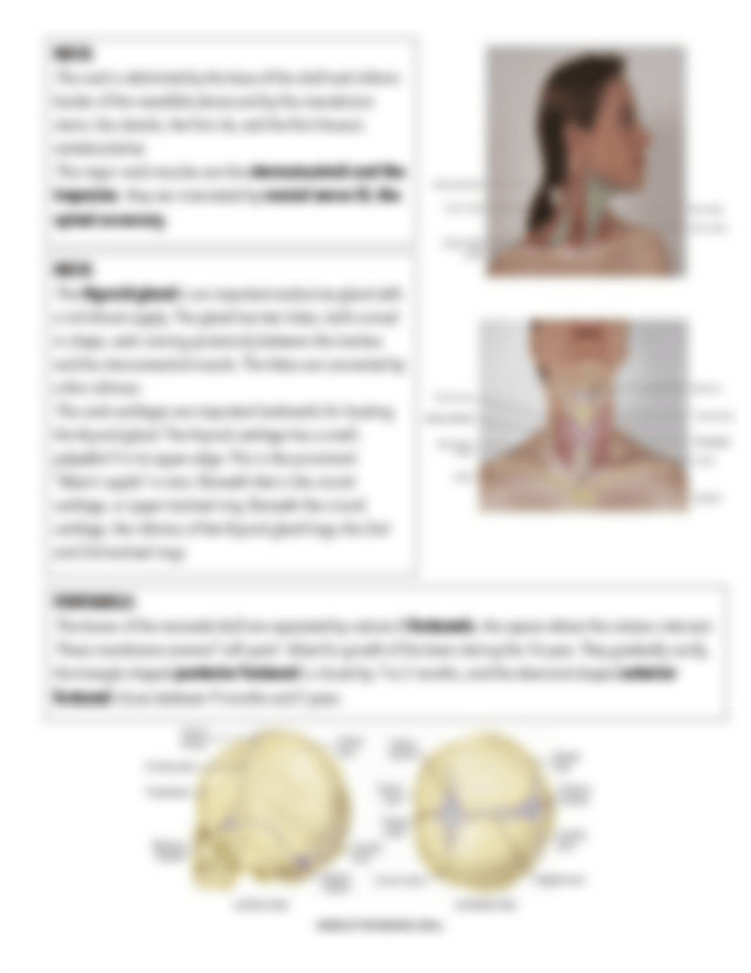 HEENT module 5&6.pdf_dnx3cweojts_page2