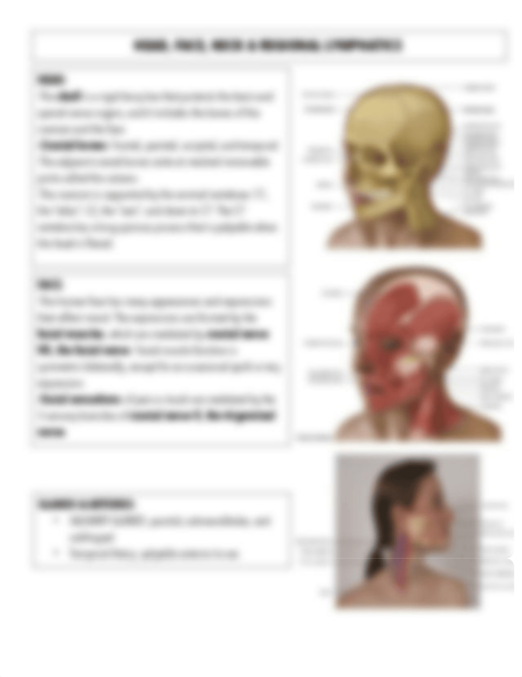 HEENT module 5&6.pdf_dnx3cweojts_page1