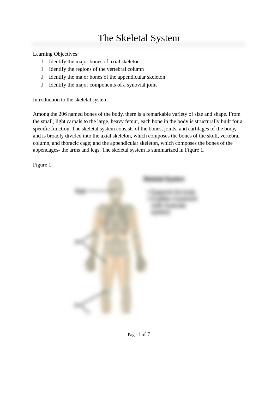 HBeschler Lab 6- The Skeletal System.docx_dnx825haxut_page1