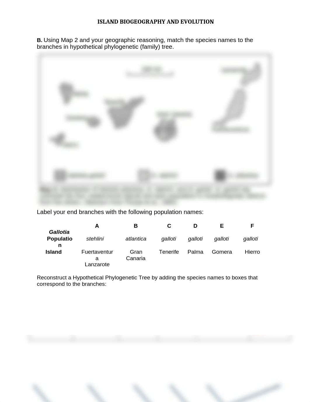 Biogeography_WORKSHEET_b.docx_dnxhwl1j03n_page3