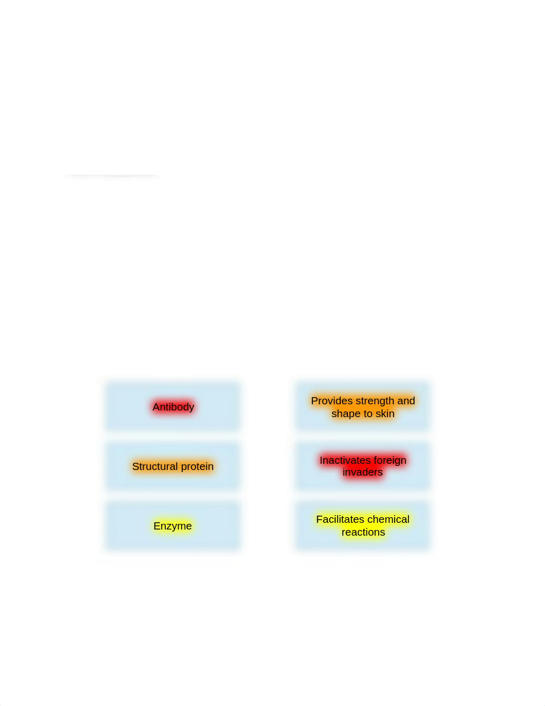 Study Questions Chapter 6.docx_dnxle6e0uee_page2