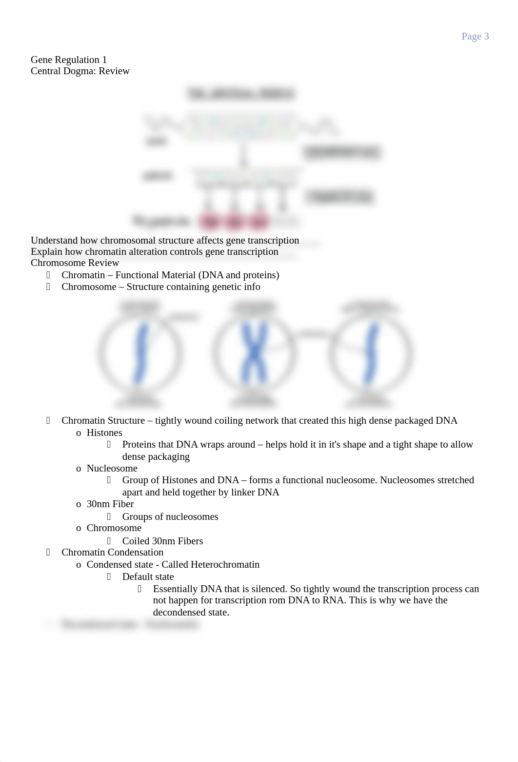 Study Guide Week 4 - Genetics.docx_dnxnwt7eyow_page3