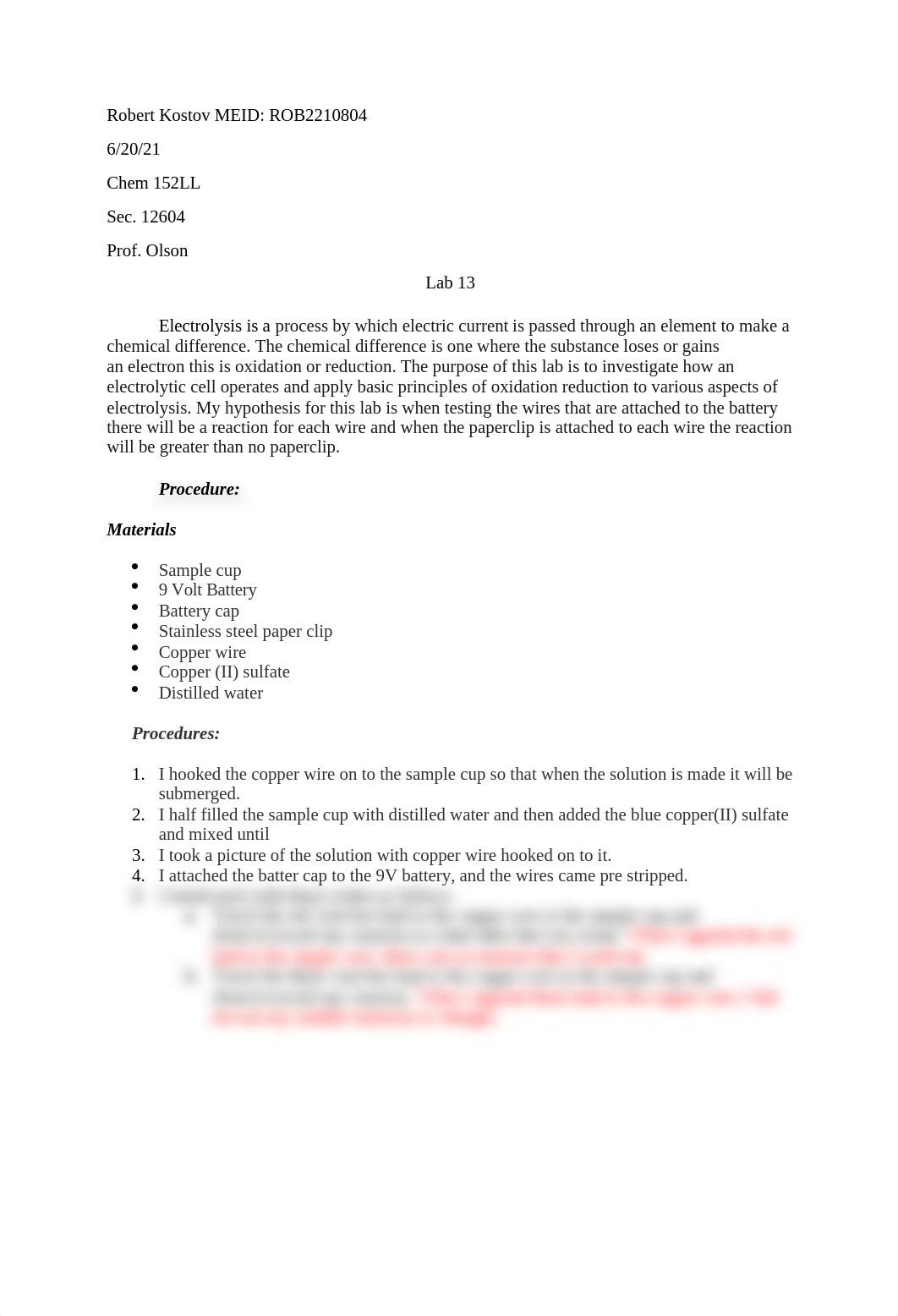 Lab 13.docx_dnxstgdx22z_page1