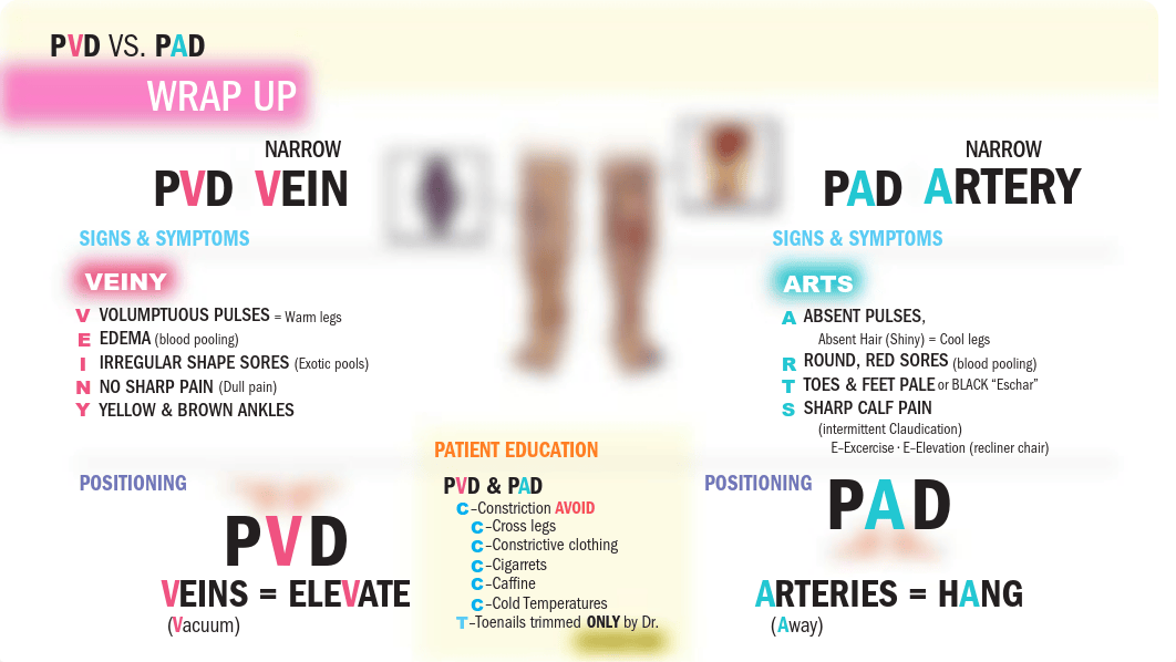 PVD, PAD, DVT - NCLEX guide .pdf_dnxt7hku7qe_page1