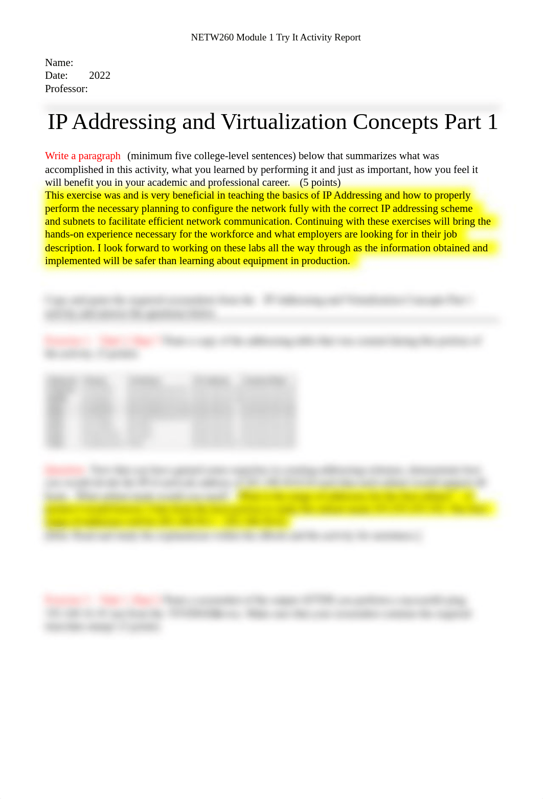 NETW260 Module 1 Try It Activity Report 2.docx_dny38lvgczu_page1