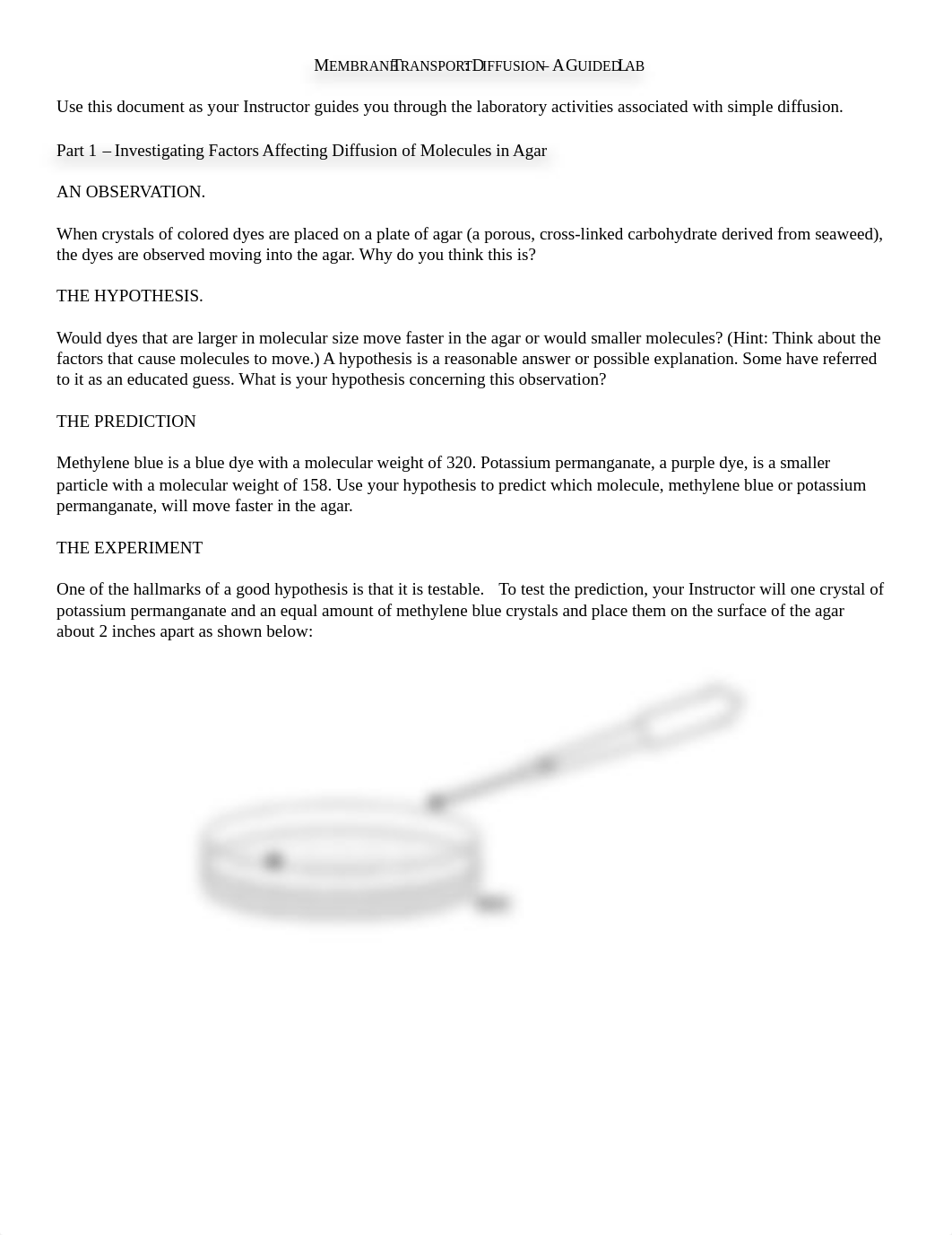 Membrane Transport_Diffusion_A guided lab.pdf_dnyccip08qp_page1