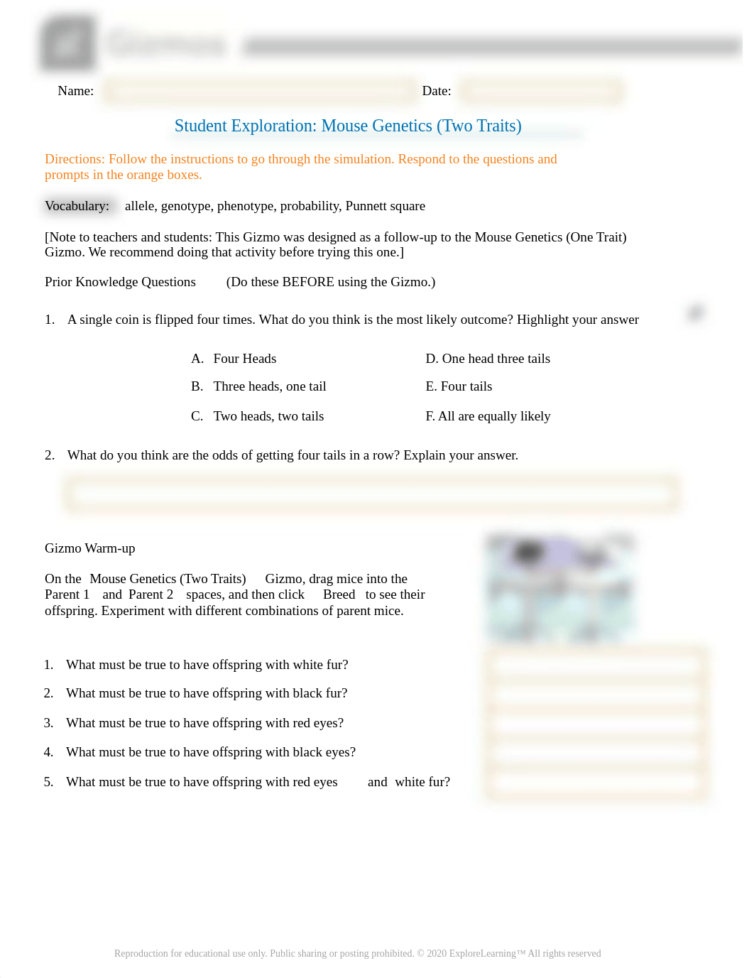 Mouse Genetics Trait 2 Gizmo Lab Worksheet.docx_dnygavgt3mp_page1