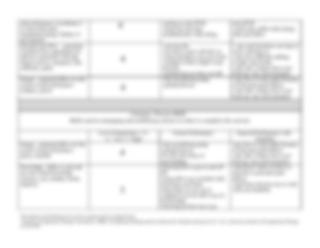 Activity Analysis Format 2011_dnysiguee70_page3