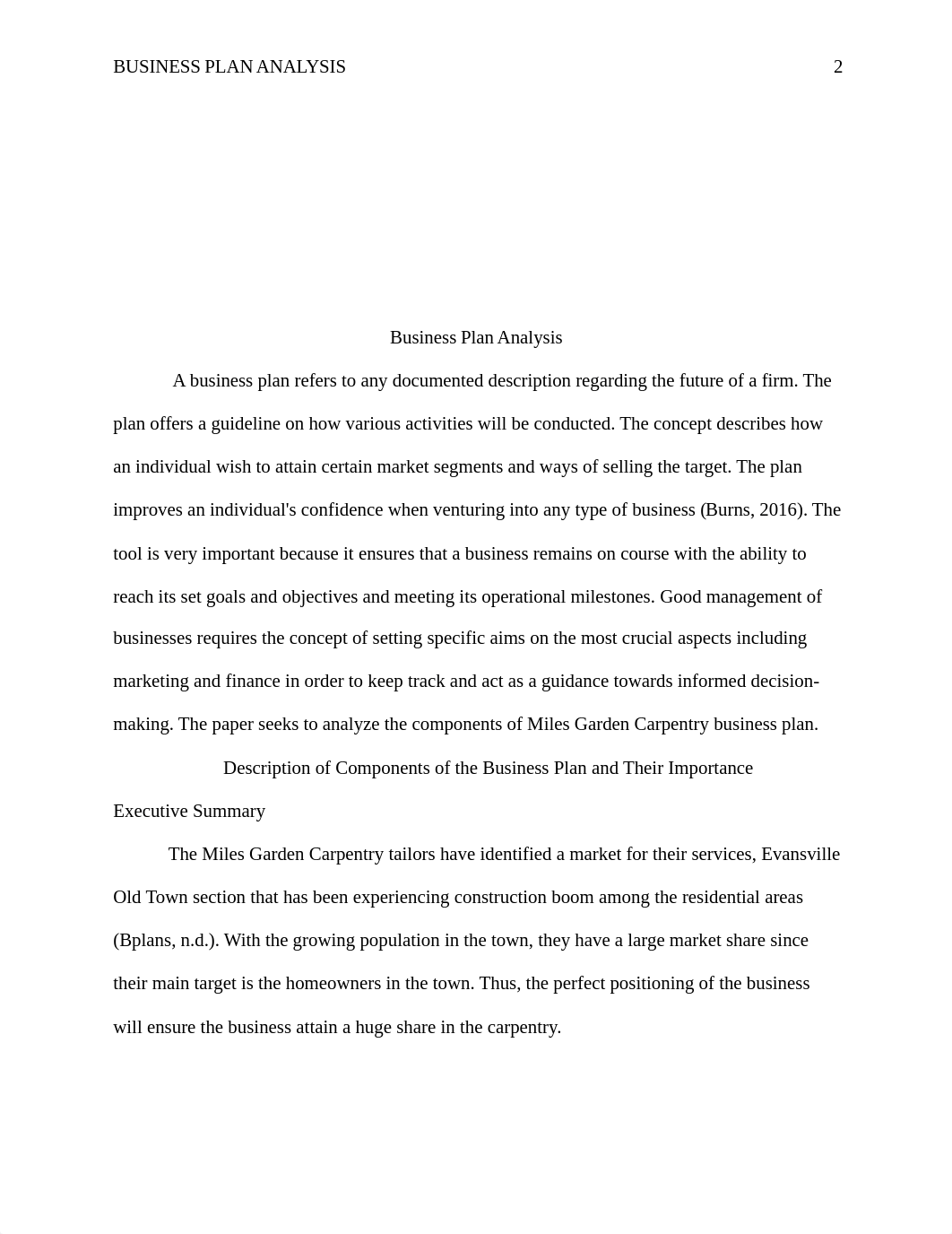 Business plan analysis.docx_dnyzlaf3zhj_page2