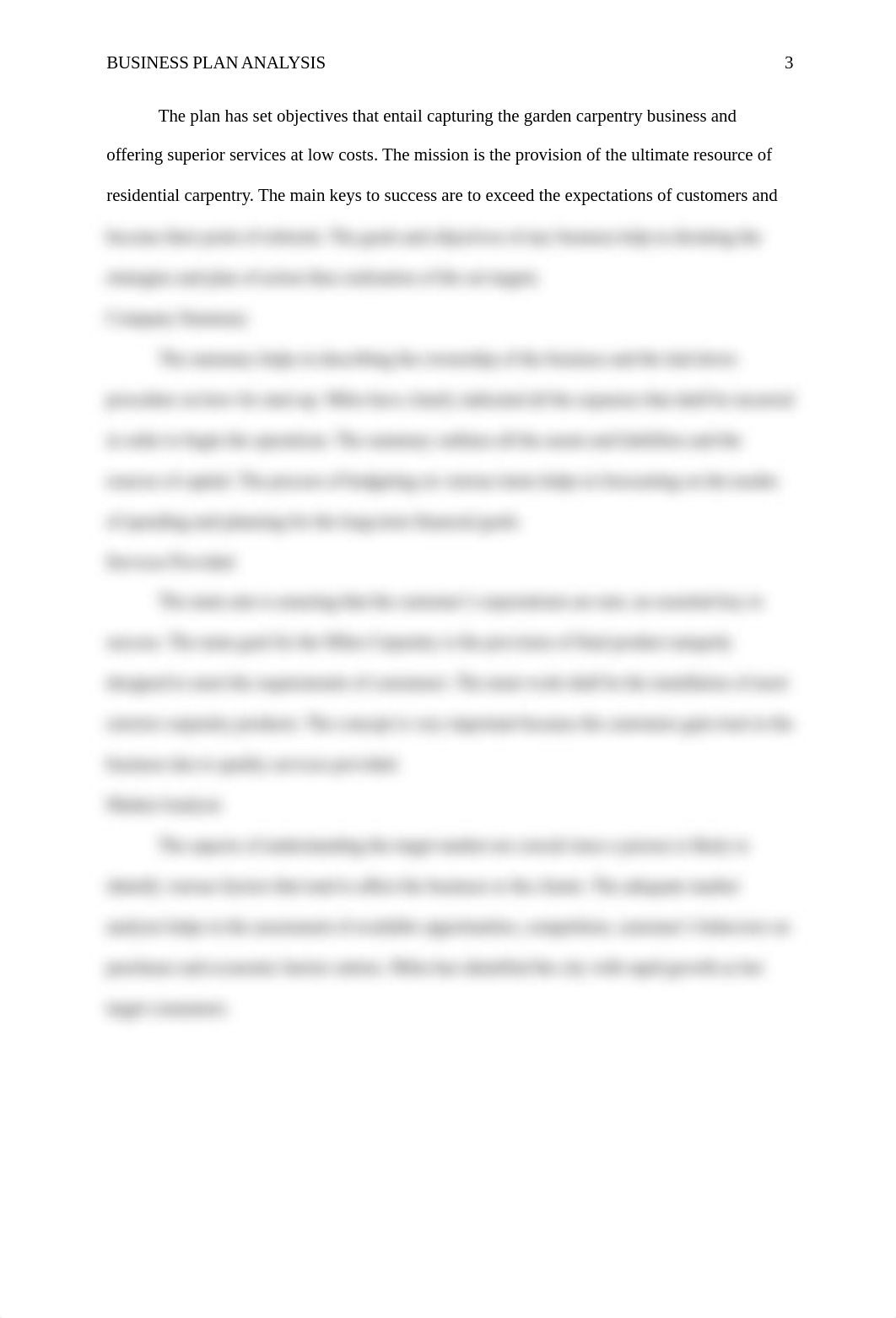 Business plan analysis.docx_dnyzlaf3zhj_page3